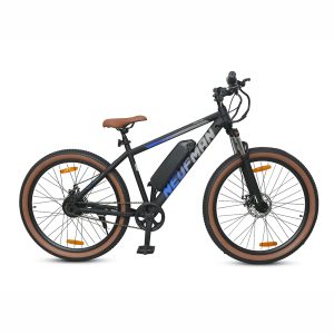 ACE EBIKE