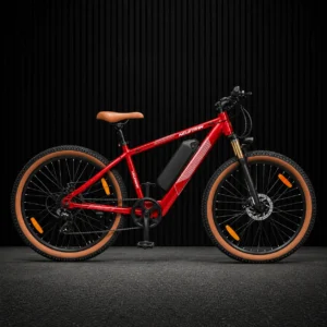 E-Bike